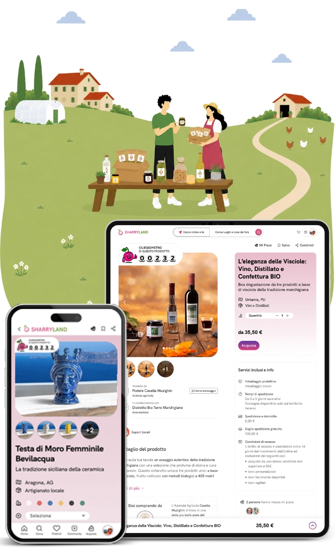 Examples: a product page on mobile and tablet, and an operator dashboard for managing sales